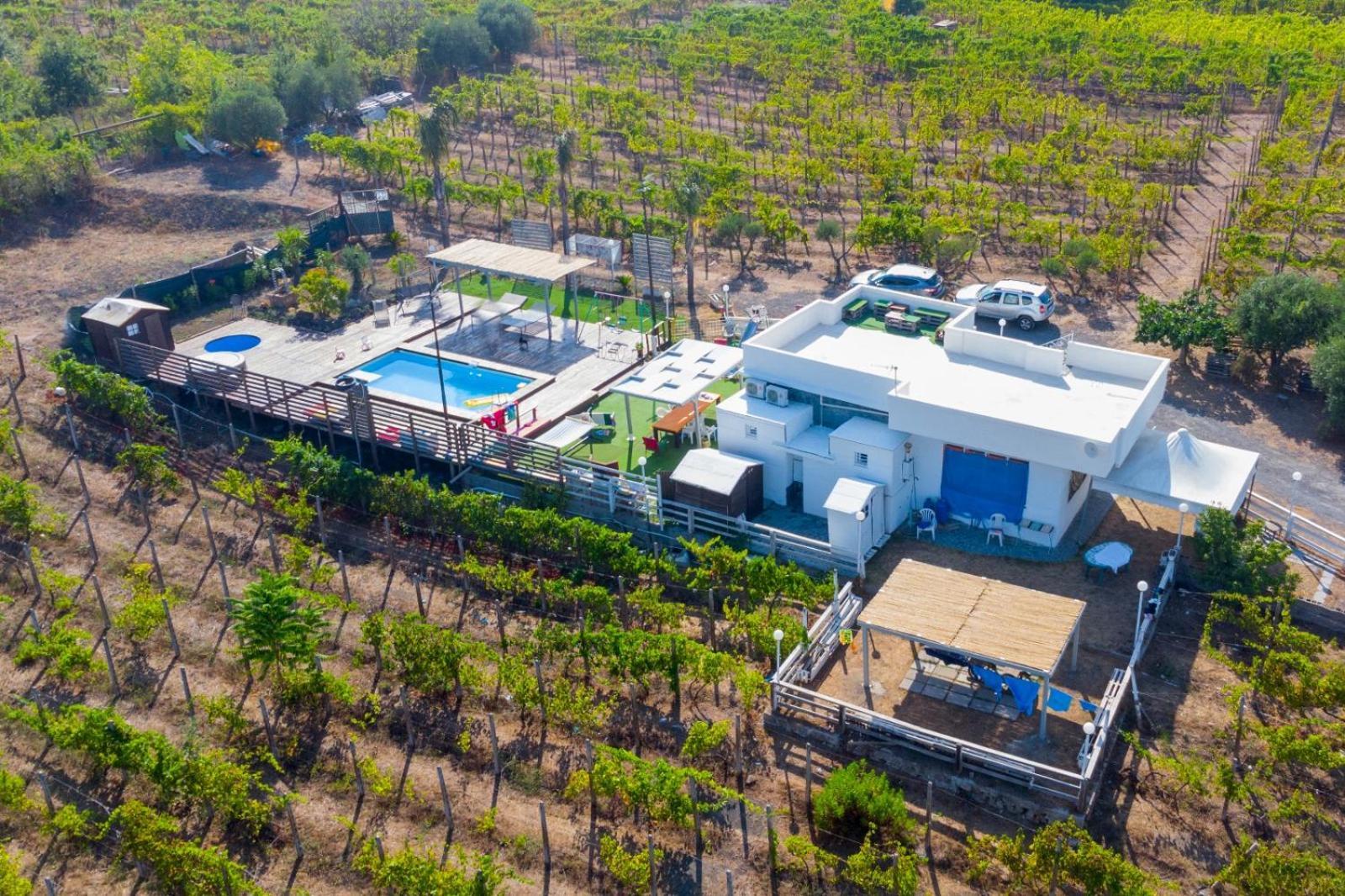 Tenuta Sul Vesuvio " Il Vigneto " Villa Terzigno Buitenkant foto