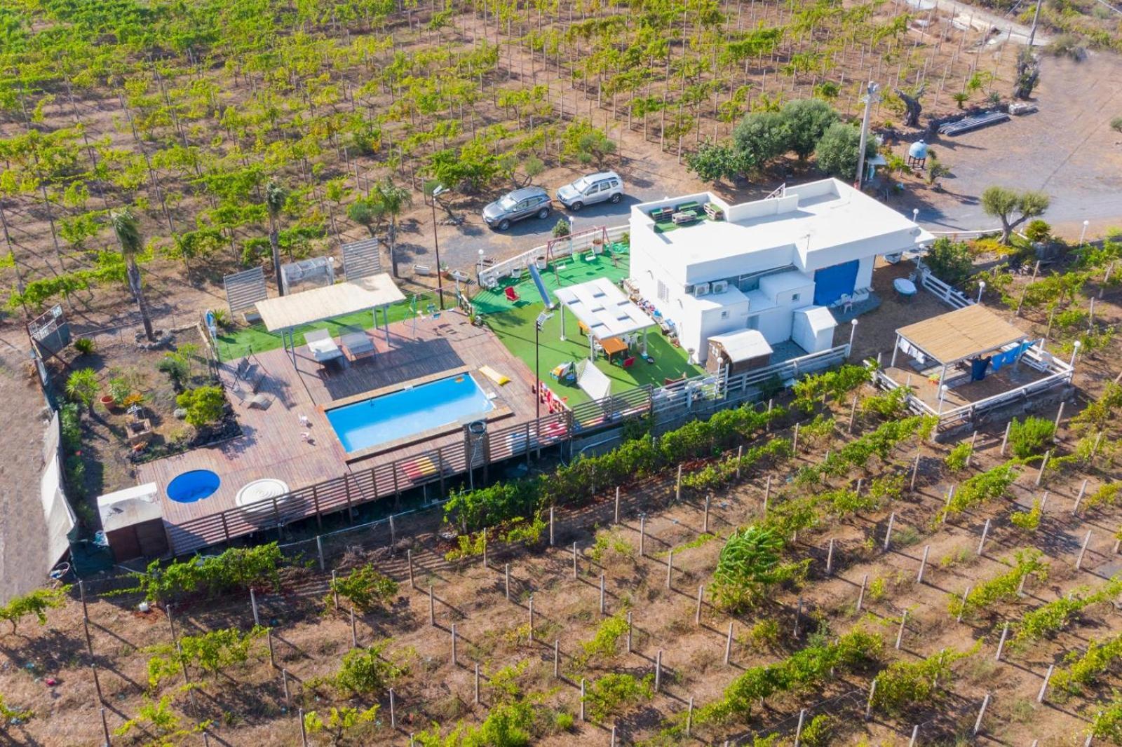 Tenuta Sul Vesuvio " Il Vigneto " Villa Terzigno Buitenkant foto