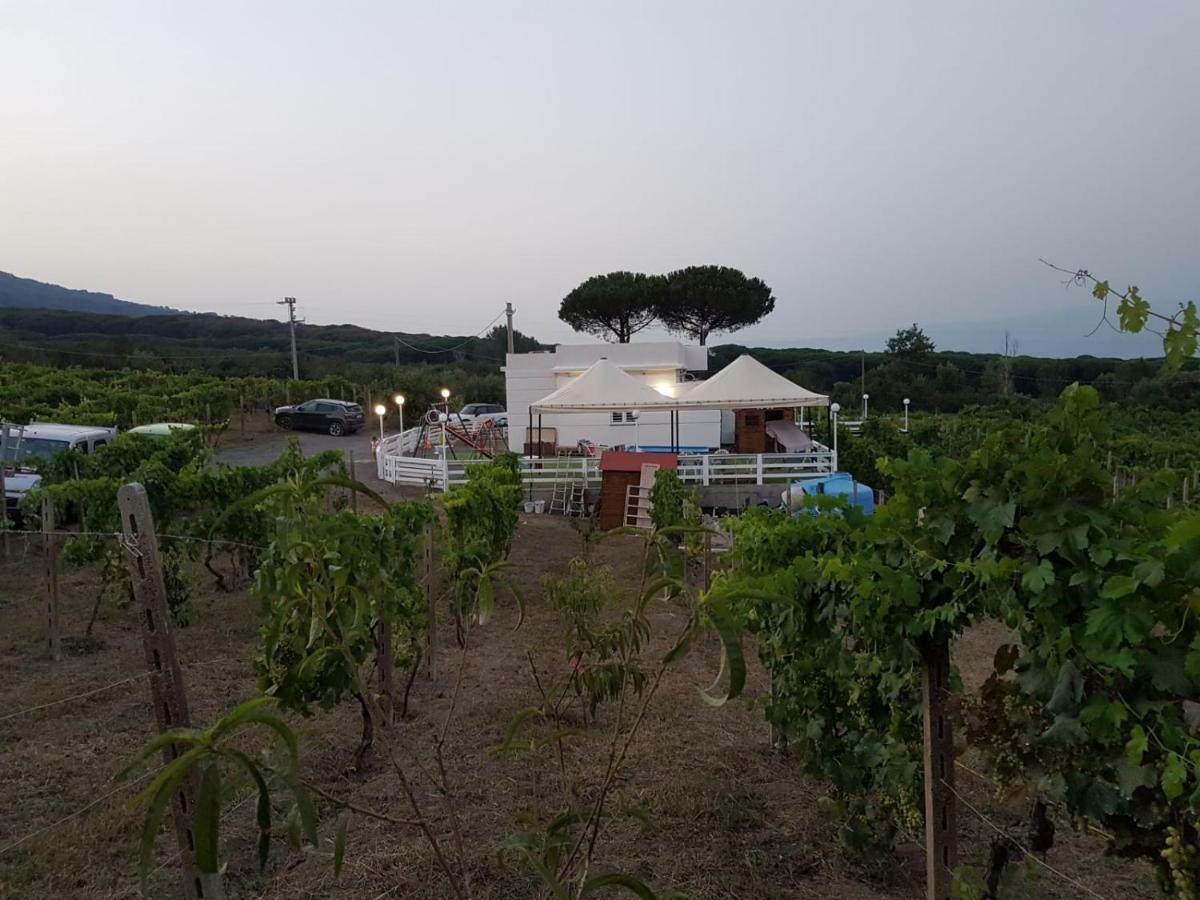 Tenuta Sul Vesuvio " Il Vigneto " Villa Terzigno Buitenkant foto