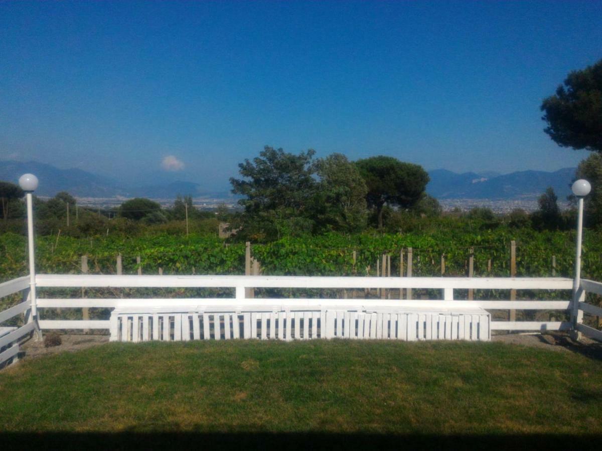 Tenuta Sul Vesuvio " Il Vigneto " Villa Terzigno Buitenkant foto