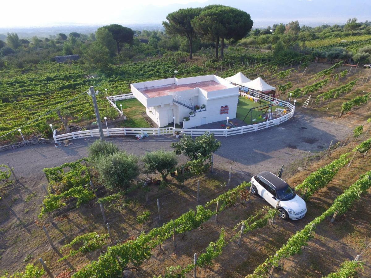 Tenuta Sul Vesuvio " Il Vigneto " Villa Terzigno Buitenkant foto