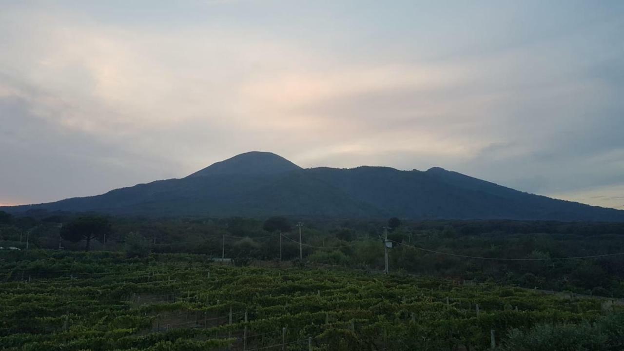 Tenuta Sul Vesuvio " Il Vigneto " Villa Terzigno Buitenkant foto