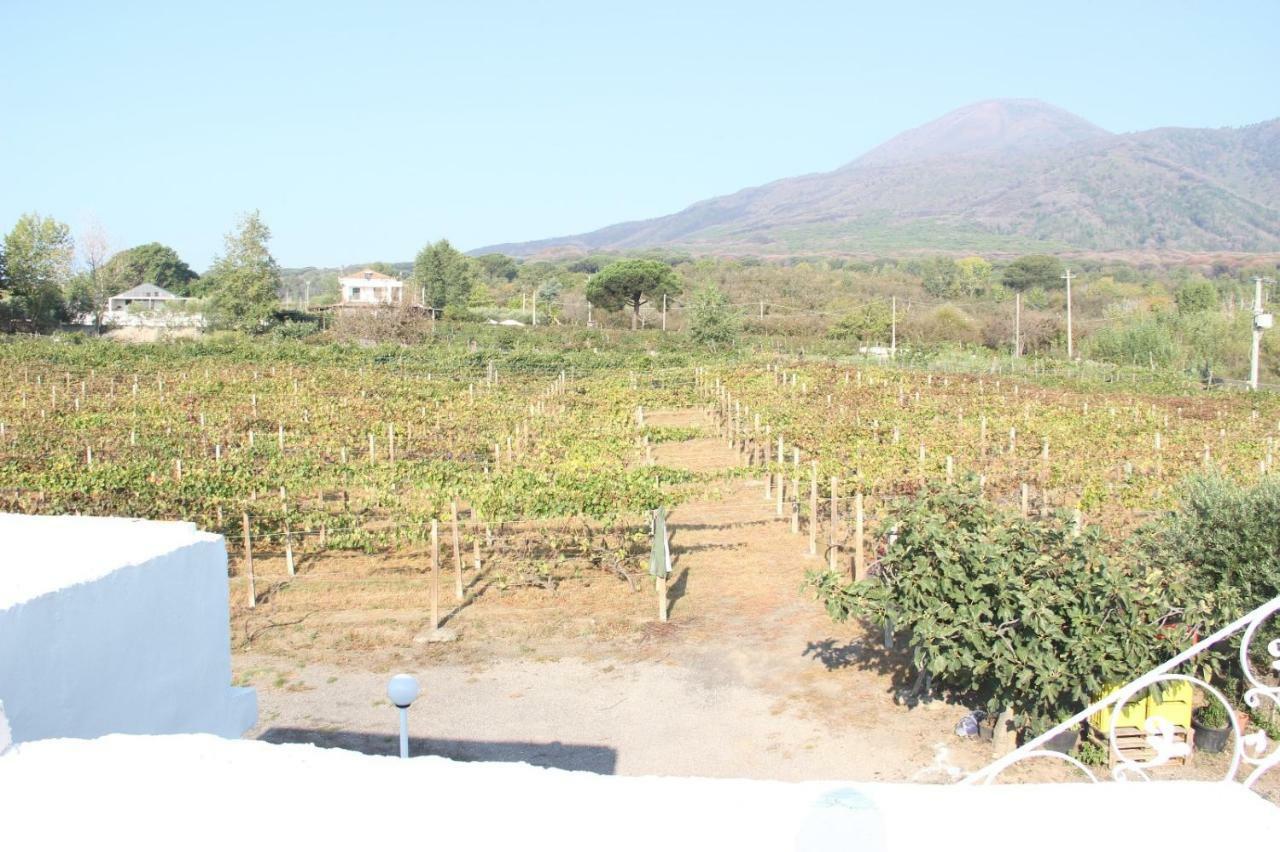 Tenuta Sul Vesuvio " Il Vigneto " Villa Terzigno Buitenkant foto