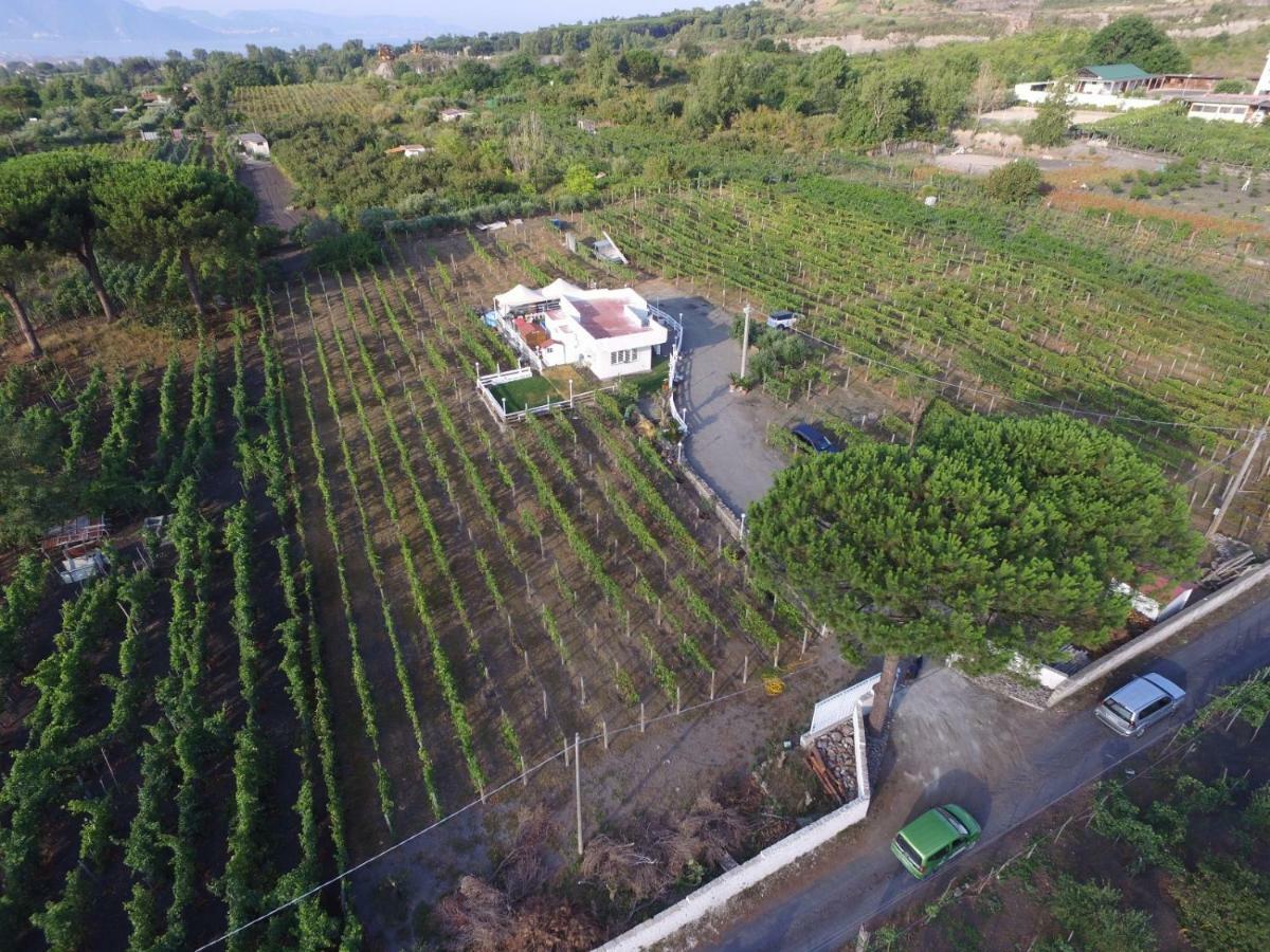 Tenuta Sul Vesuvio " Il Vigneto " Villa Terzigno Buitenkant foto